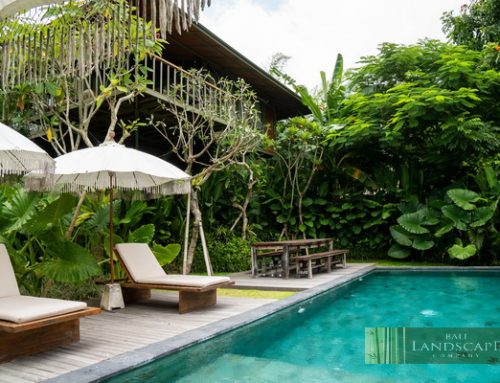 The Dos and Don’ts of DIY Landscaping Project in Bali