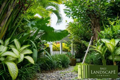 diy landscaping projectbali_landscape_company_23_haus_flora_bali_landscaping_service_design_construction_consultant