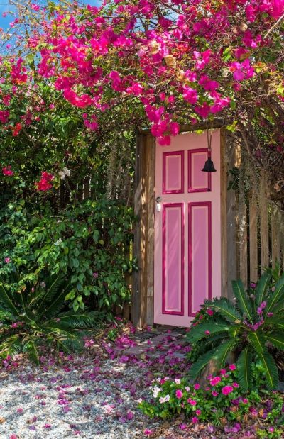 bougenvillia-tree-bali-garden-landscape-landscaping-native-tropical-plants